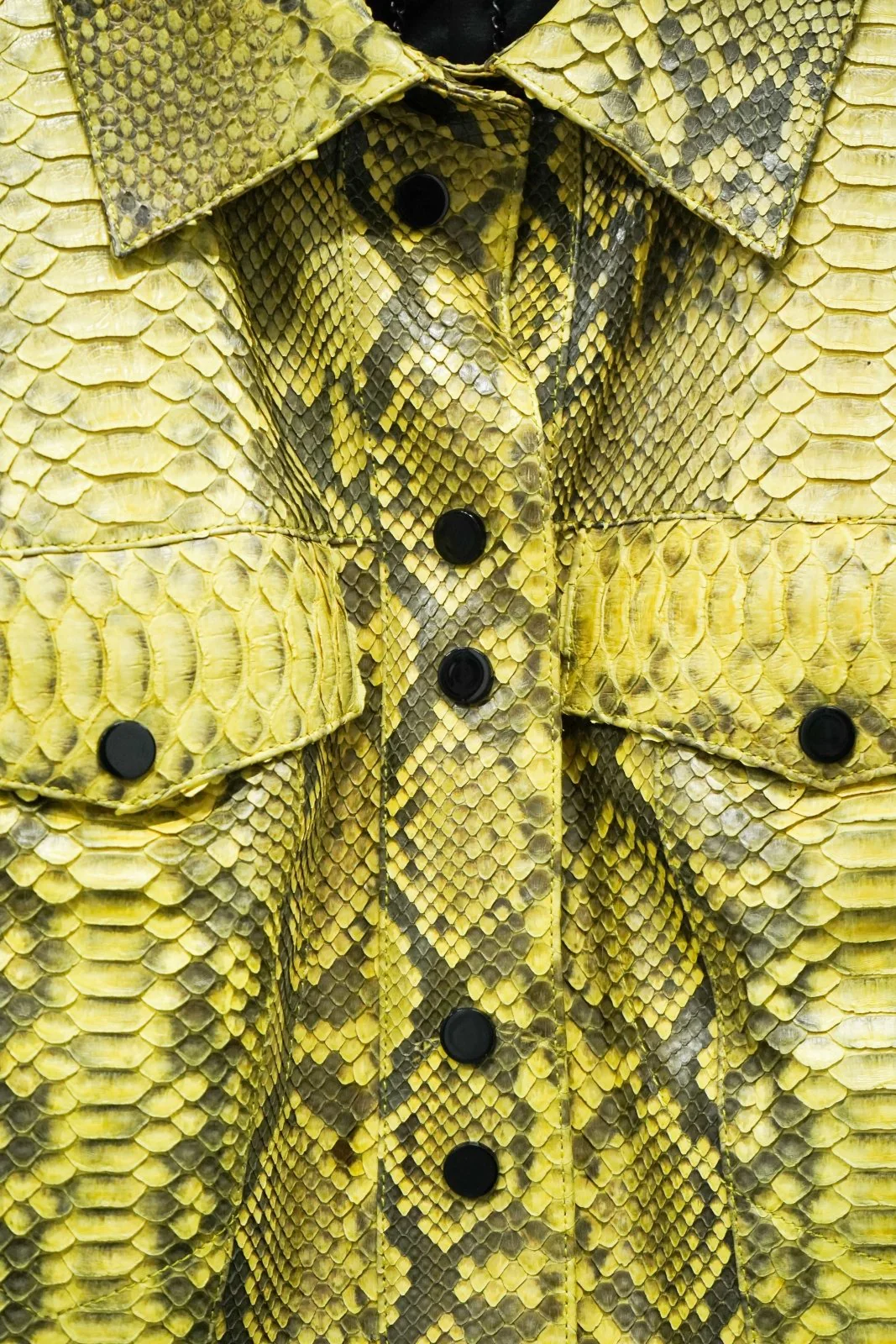 Solaris Yellow Python Leather Jacket - Image 4
