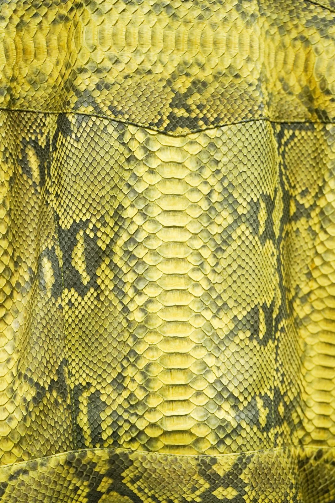 Solaris Yellow Python Leather Jacket - Image 5